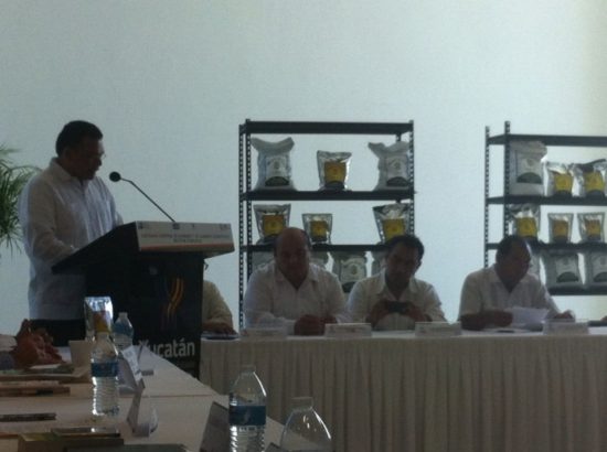 COMECSO en el encuentro “El sector forestal en apoyo a la cruzada contra el hambre y el cambio climático”