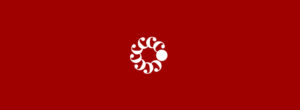 Publicaciones del COMECSO