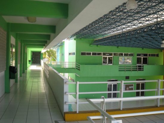 Ontología orientada al objeto en las Ciencias Sociales