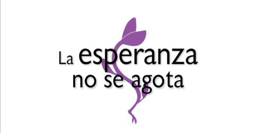 La esperanza no se agota-informe TDT