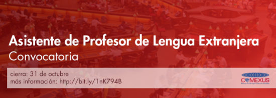 Asistente de Profesor de Lengua Extranjera