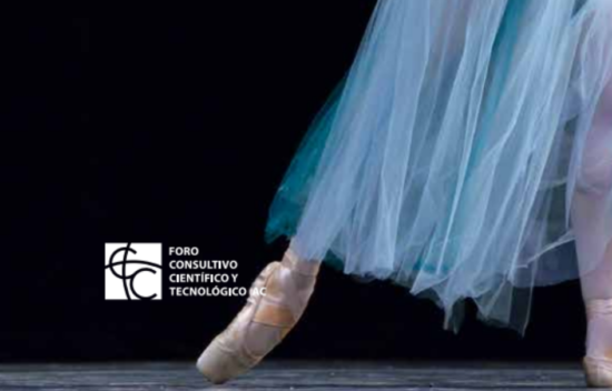 Revista Forum, No. 30 | Noviembre 2017