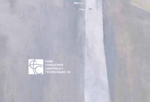 Revista Forum, No. 31 | Diciembre 2017