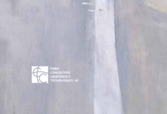 Revista Forum, No. 31 | Diciembre 2017
