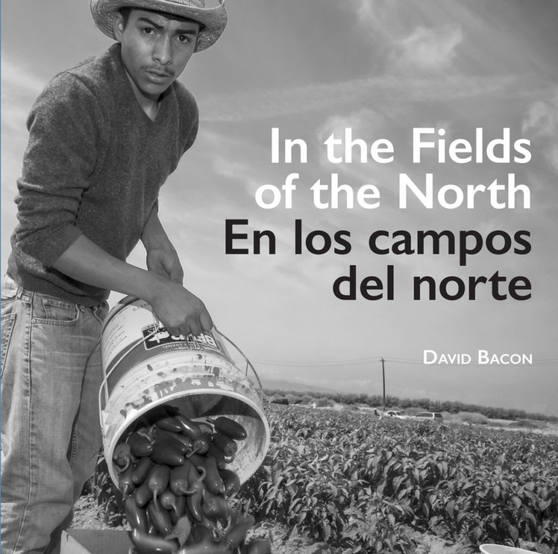 In the Fields of the North | David Bacon