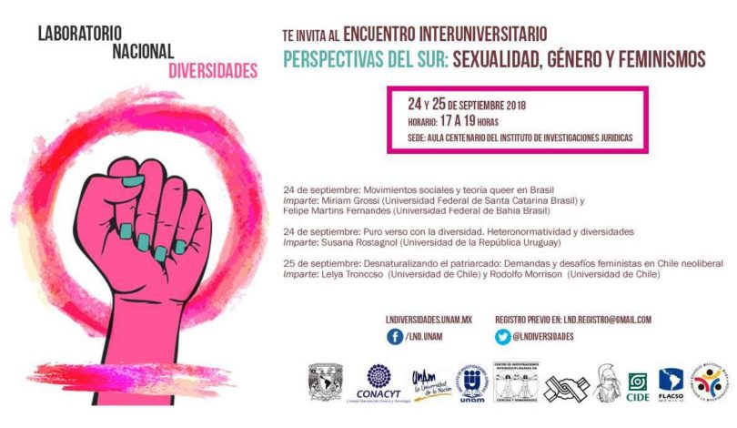 Perspectivas del sur: sexualidad, género y feminismos