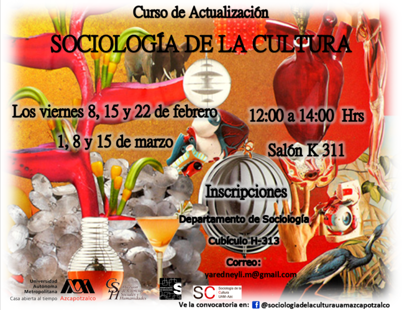 Curso: Sociología de la Cultura