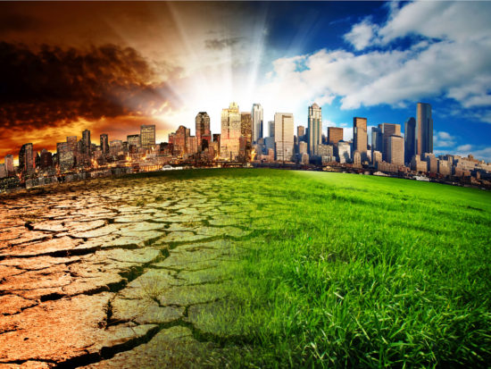 Cambio climático y activismo ambiental