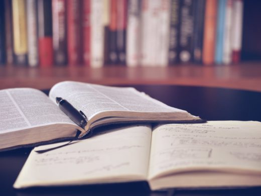 Entre la investigación y la profesionalización