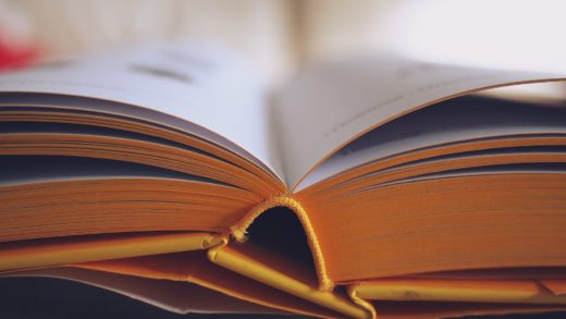 Premio de investigación 2019 para científicos jóvenes