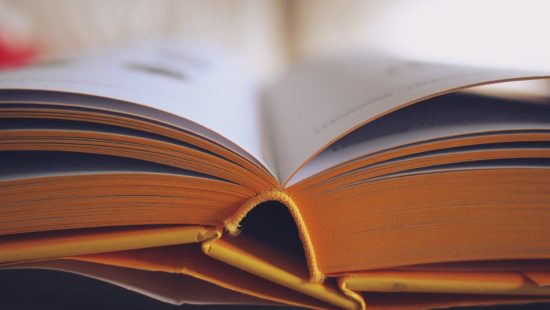 Premio de investigación 2019 para científicos jóvenes