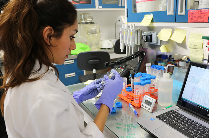 Investigaciones de científicos en sintonía con PND