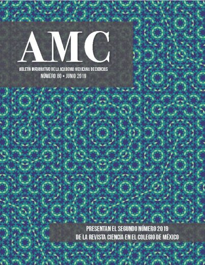 Boletín AMC, núm. 80, junio 2019