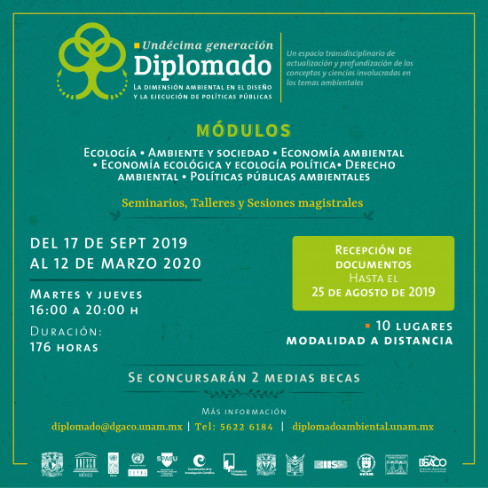 La dimensión ambiental en las políticas públicas
