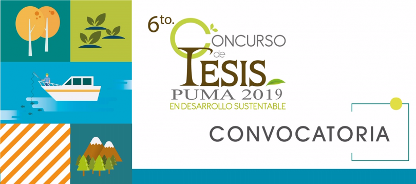 6° Concurso de tesis Puma 2019
