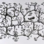Ecology of social movements