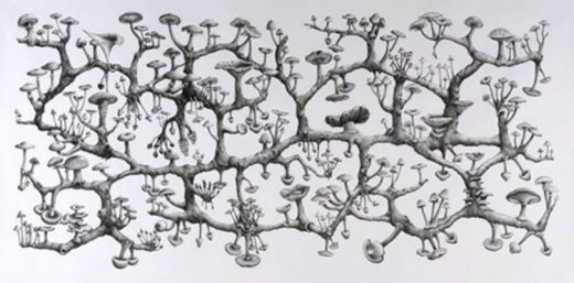 Ecology of social movements
