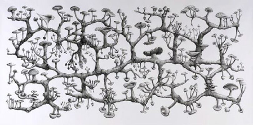 Ecology of social movements