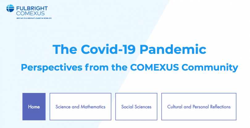 The Covid-19 Pandemic