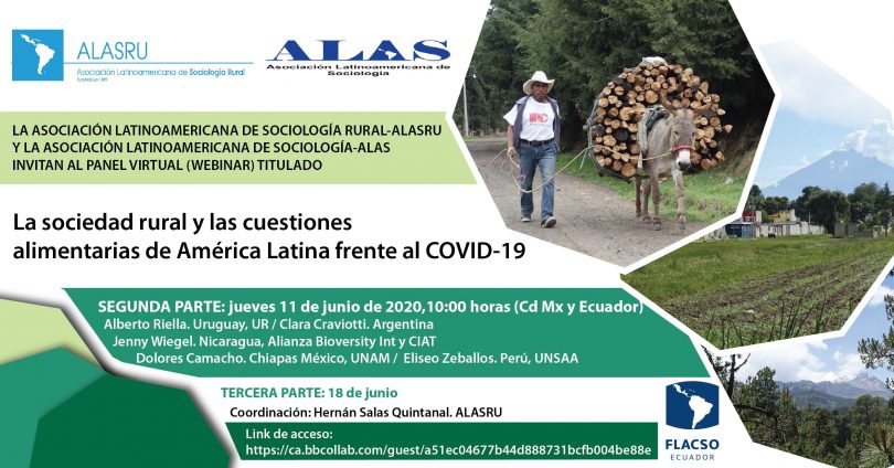 La sociedad rural y las cuestiones alimentarias de América Latina frente al COVID-19