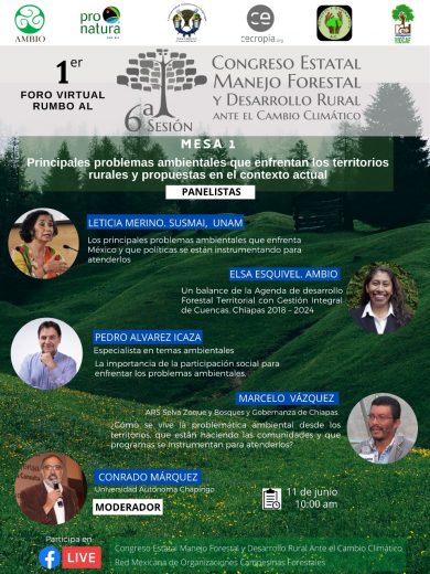 1er Foro virtual rumbo al Congreso Manejo Forestal y Desarrollo Rural