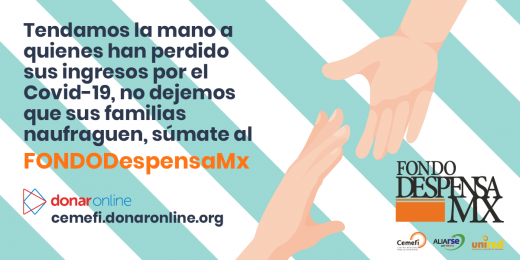 Fondo Despensa Mx | Cemefi