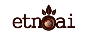 Seminario «Metodologías para el estudio del agua, energía y cambio climático en tiempos de COVID-19»