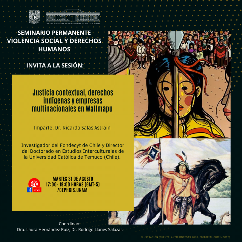 Justicia contextual, derechos indígenas y empresas multinacionales en Wallmapu