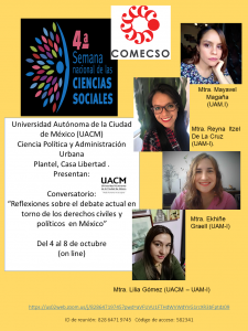 Reflexiones sobre el debate actual en torno de los derechos civiles y políticos en México