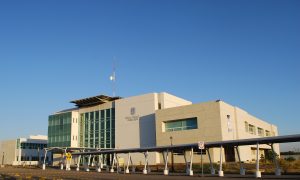 Violencia y nuevos riesgos sociales