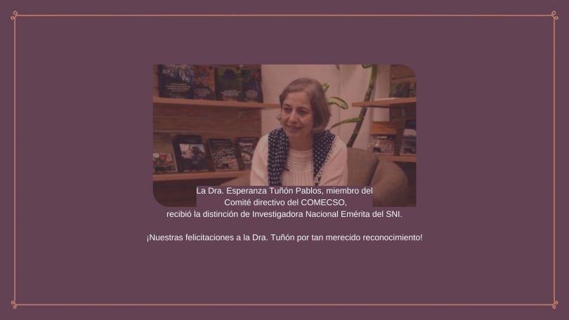 Esperanza Tuñón, Investigadora Nacional Emérita