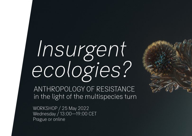 Insurgent Ecologies?