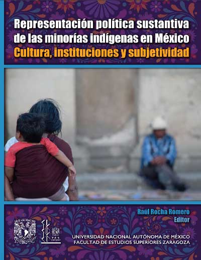 Representación política sustantiva de las minorías indígenas en México. Cultura, instituciones y subjetividad.