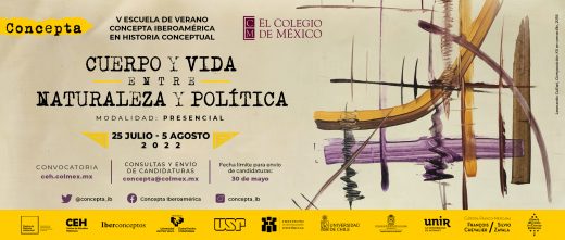 V Escuela de Verano CONCEPTA