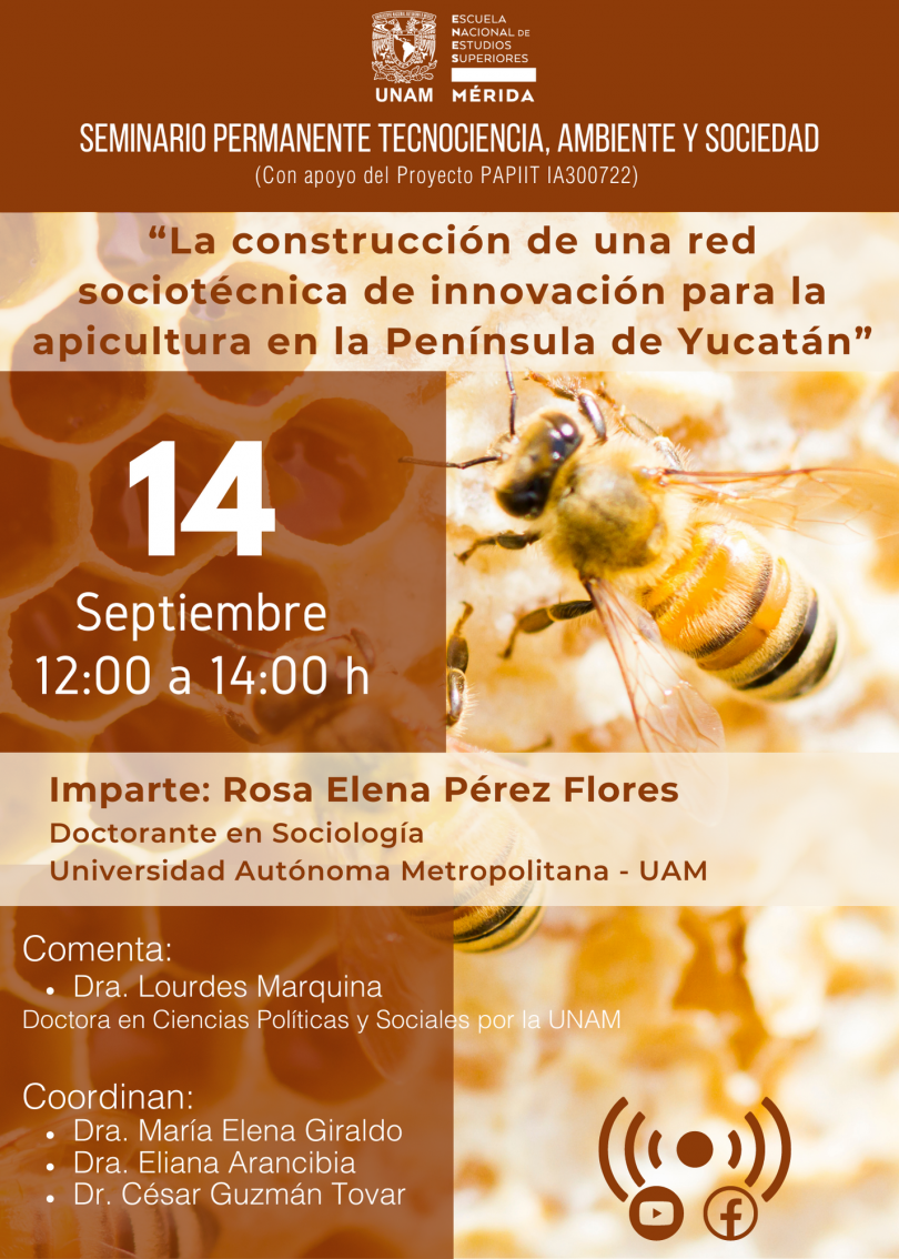 La construcción de una red sociotécnica de innovación para la apicultura en la Península de Yucatán