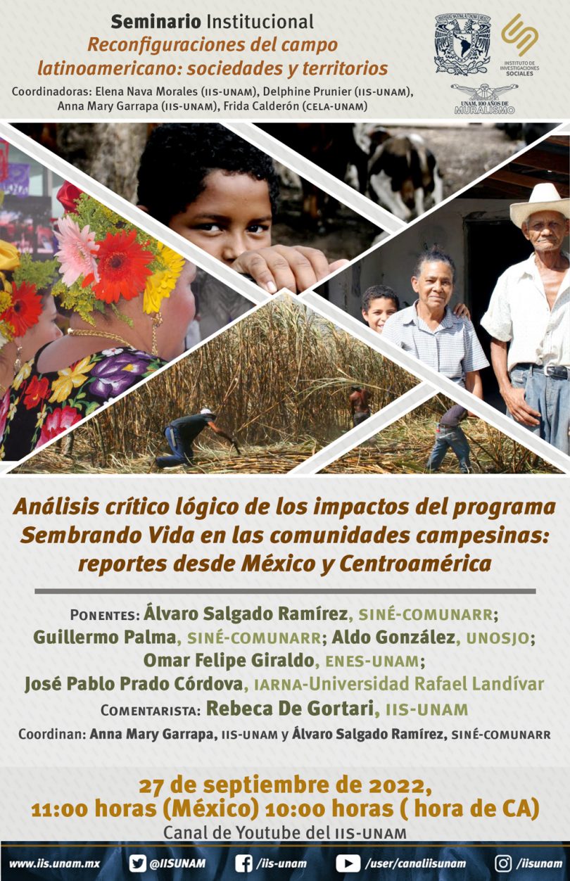 Análisis crítico lógico de los impactos del programa Sembrando Vida en las comunidades campesinas