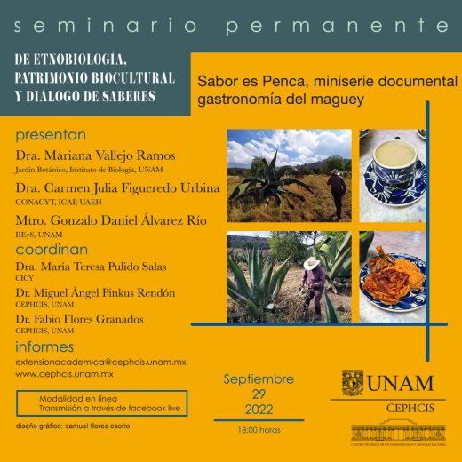 Sabor a penca, miniserie documental gastronomía del maguey