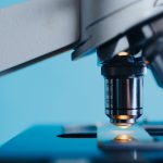 Postdoc Society of Science Fellows