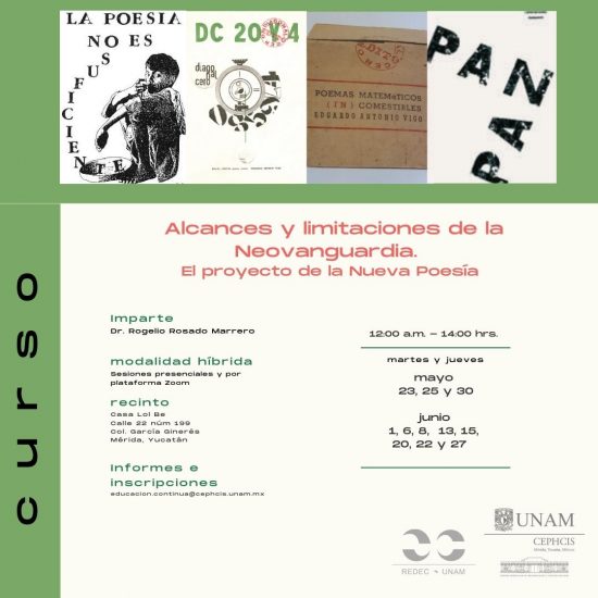 Alcances y limitaciones de la Neovanguardia