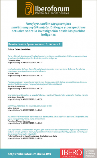Iberoforum. Revista de Ciencias Sociales, vol. 3, núm. 1