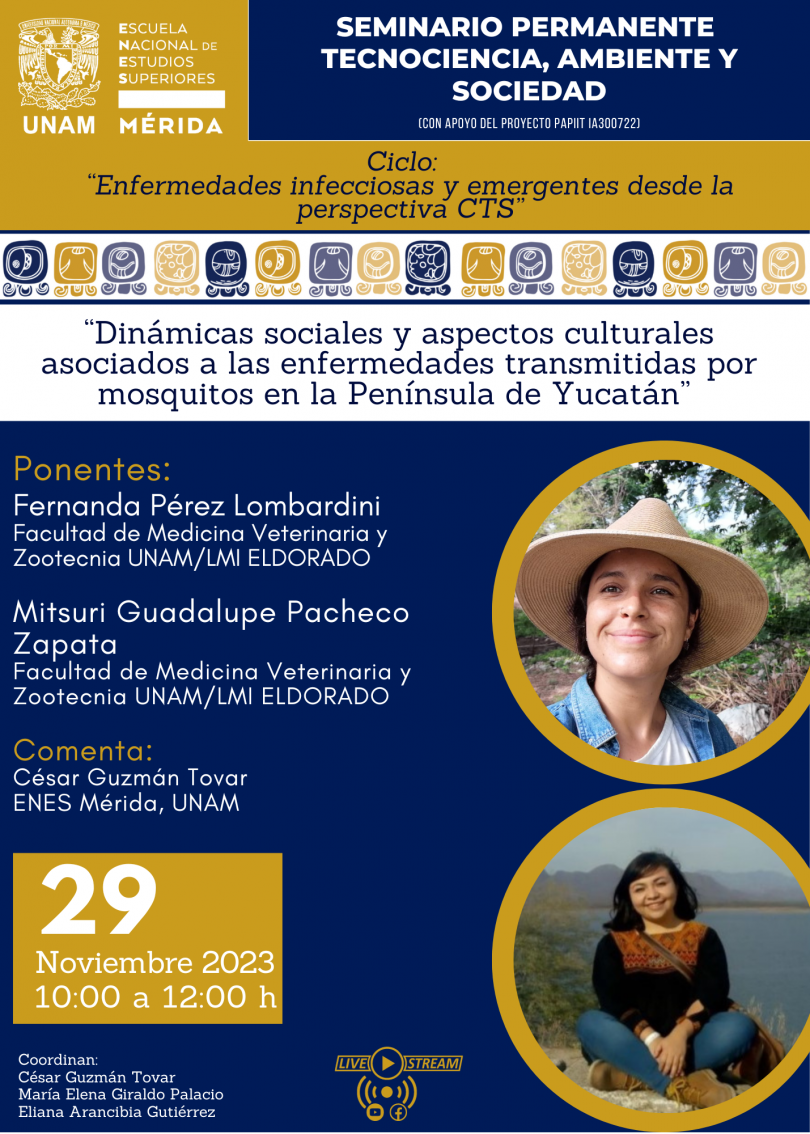 Dinámicas sociales y aspectos culturales asociados a las enfermedades transmitidas por mosquitos en la Península de Yucatán