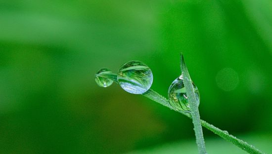 Global Environment Outlook Review Editing Analytical Database