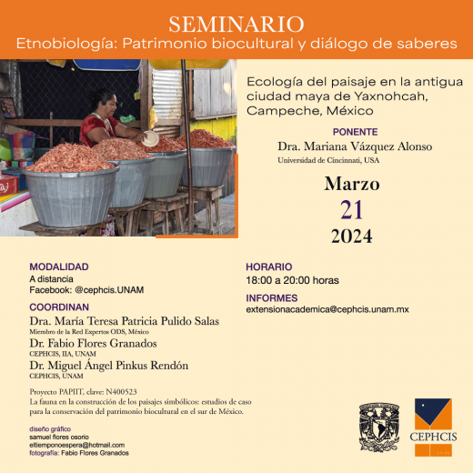 Ecología del paisaje en la antigua ciudad maya de Yaxnohcah