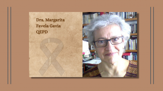 Margarita Favela Gavia