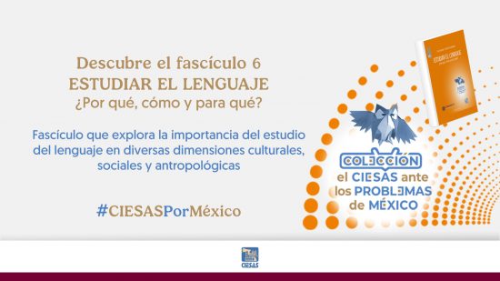 Estudiar el lenguaje. ¿Por qué, cómo y para qué?