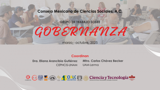 Grupo de Trabajo sobre Gobernanza