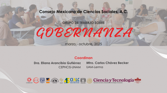 Grupo de Trabajo sobre Gobernanza
