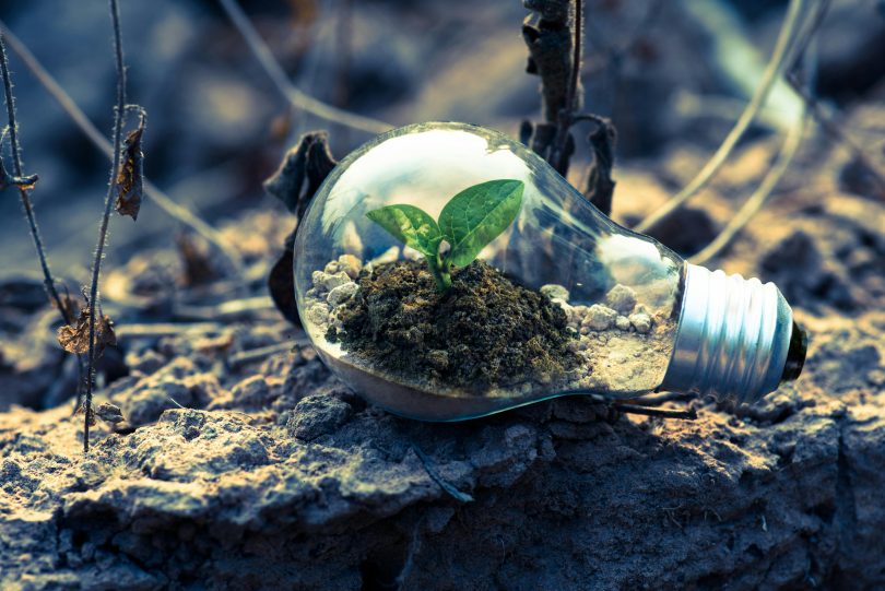 Revisitar la relación humano-naturaleza
