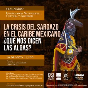 La crisis del sargazo en el caribe mexicano