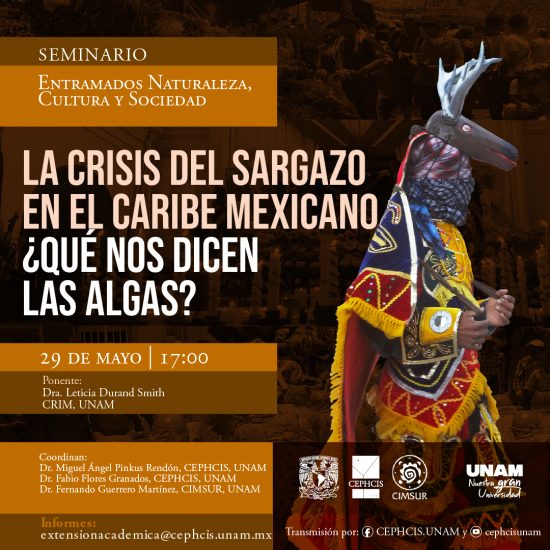 La crisis del sargazo en el caribe mexicano